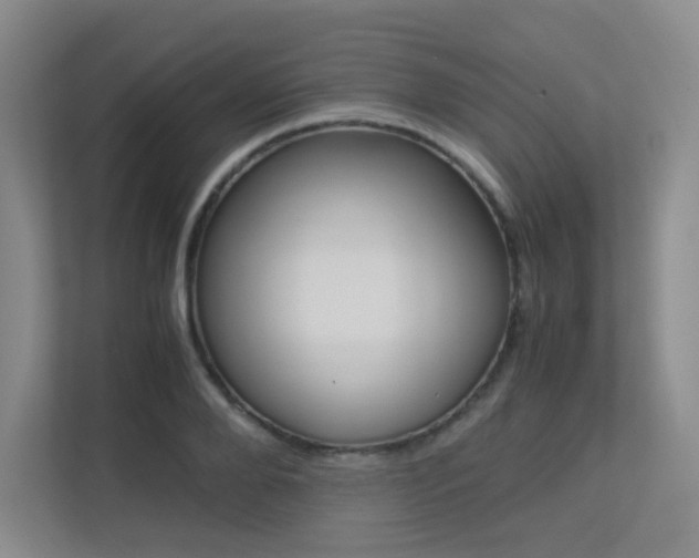 X0000113240888200909100920