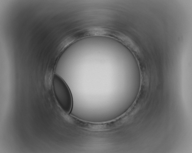 X0000113240889200909100920