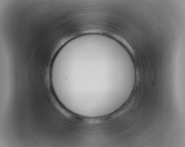X0000113240890200909100920