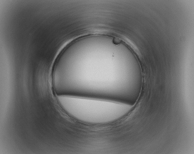 X0000113240891200909100920