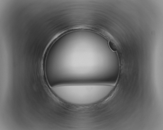 X0000113240892200909100920