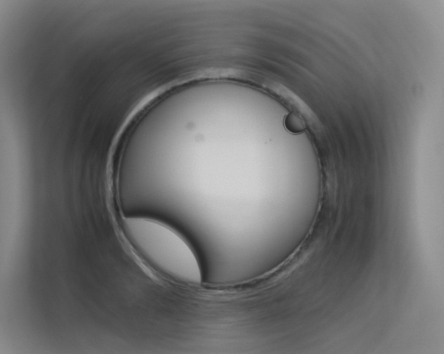 X0000113240894200909100920