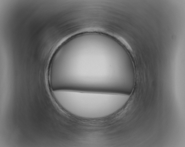 X0000113240895200909100920