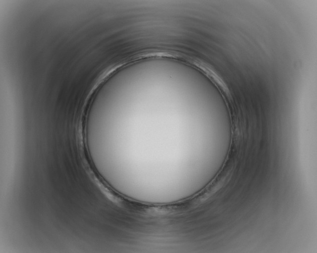 X0000113240898200909100920