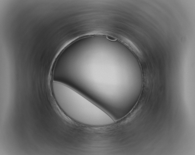 X0000113240900200909100920