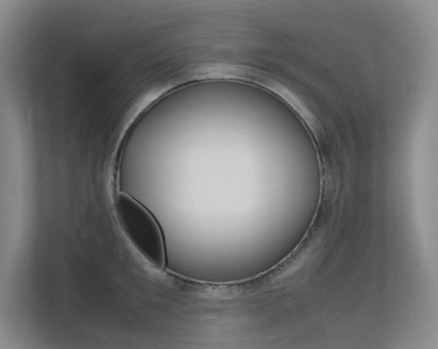 X0000113240901200909100920