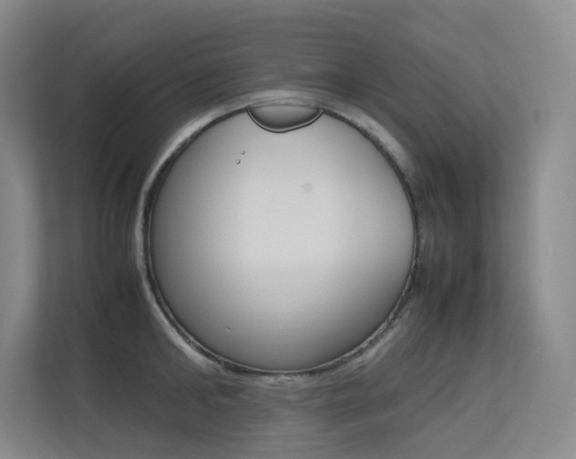 X0000113240902200909100920