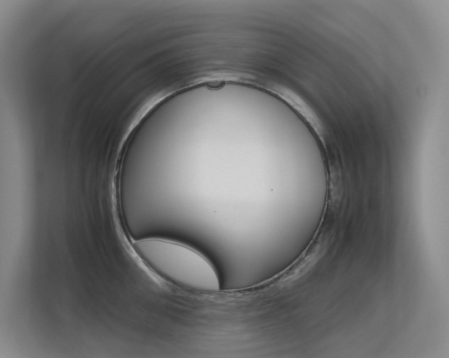 X0000113240906200909100920