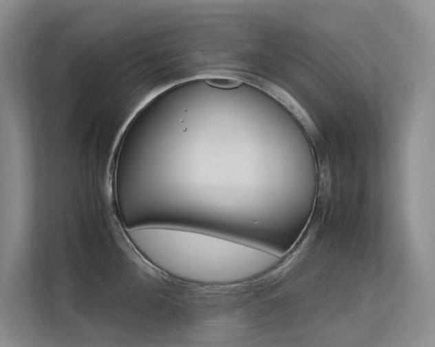 X0000113240908200909100920