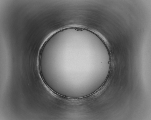 X0000113240910200909100920