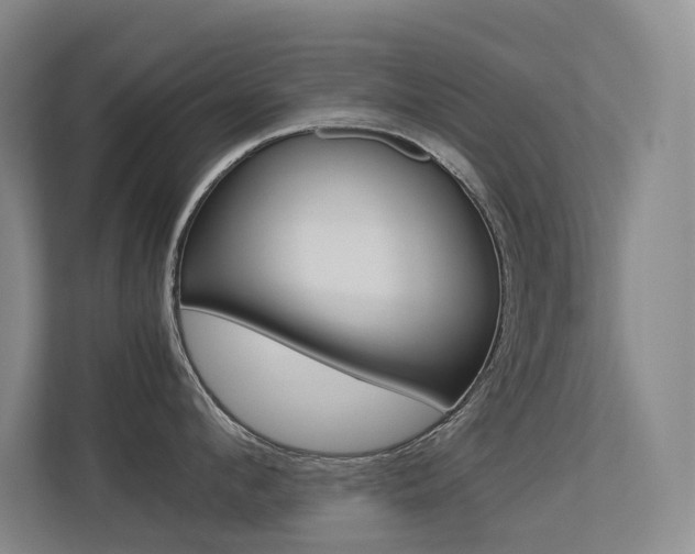 X0000113240912200909100920