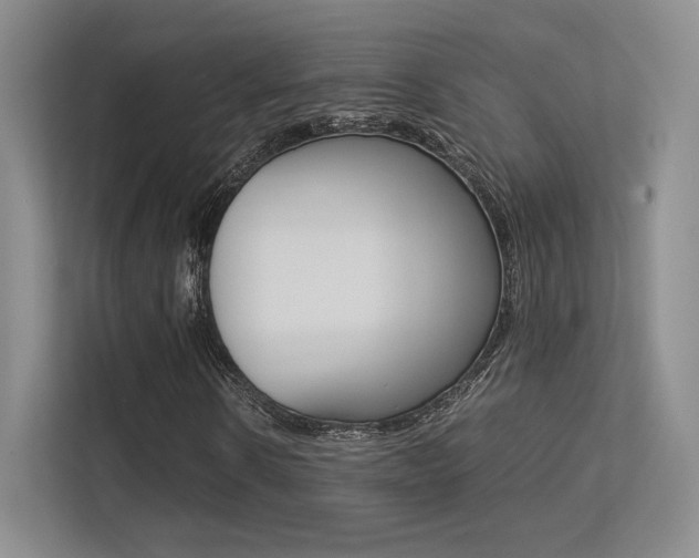 X0000113240914200909100919