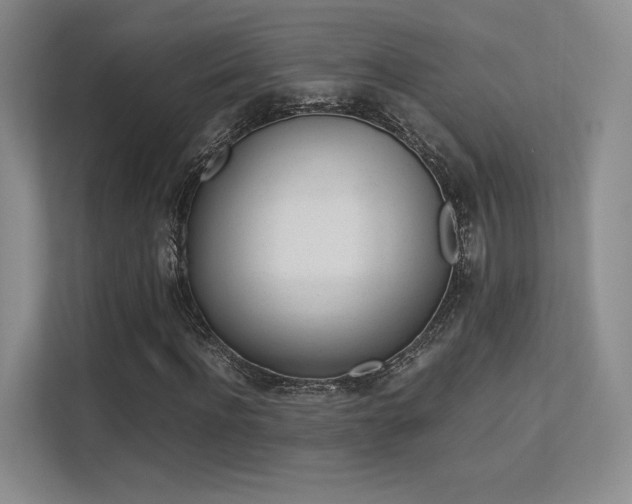 X0000113240916200909100920
