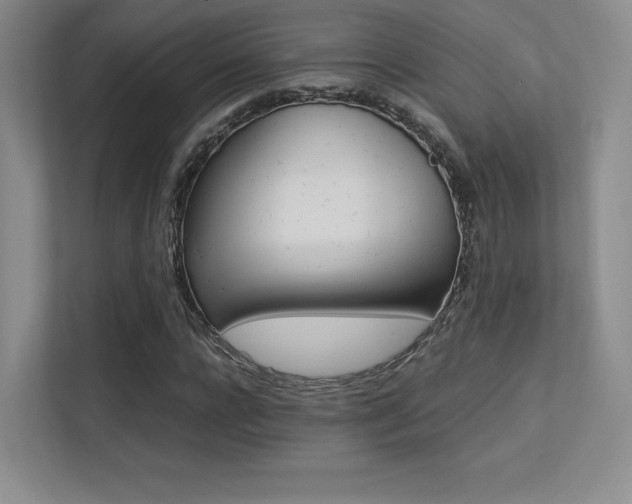 X0000113240920200909100920