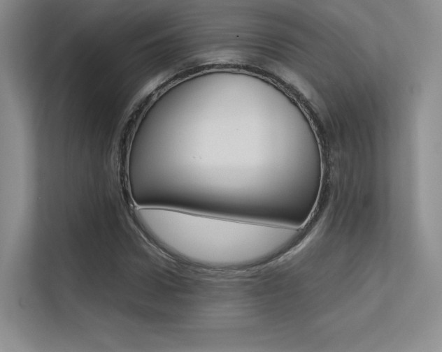 X0000113240922200909100920