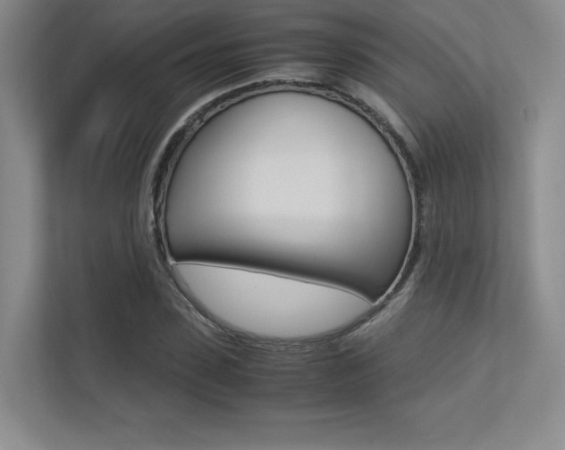 X0000113240923200909100920