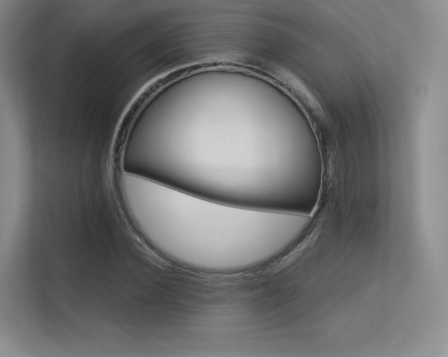 X0000113240924200909100920