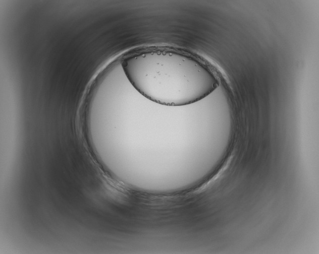 X0000113240925200909100920