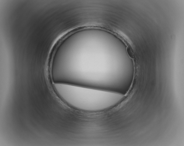 X0000113240928200909100920