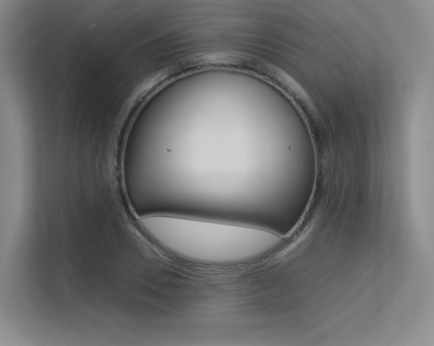 X0000113240930200909100920
