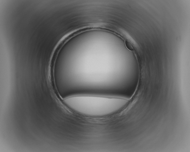X0000113240932200909100920