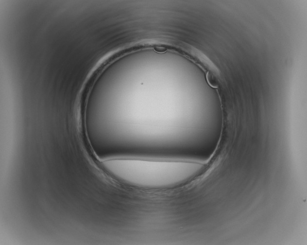 X0000113240934200909100920