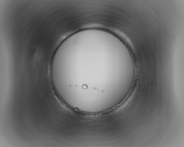 X0000113240937200909100920
