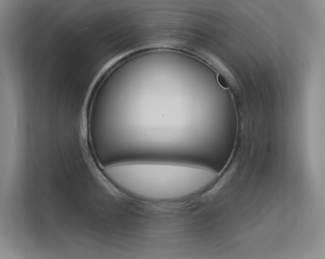 X0000113240940200909100920