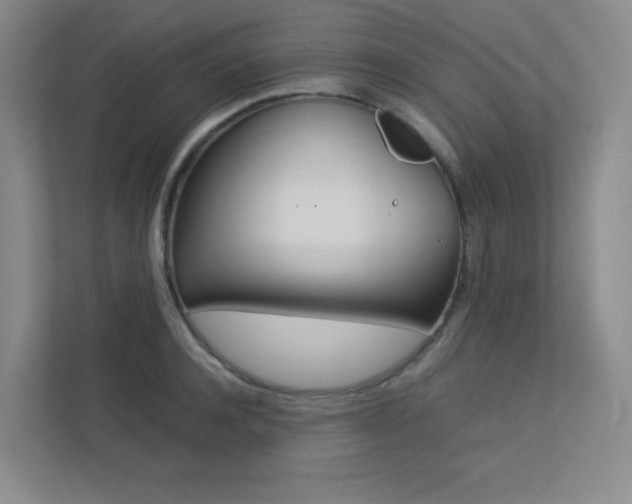 X0000113240944200909100920