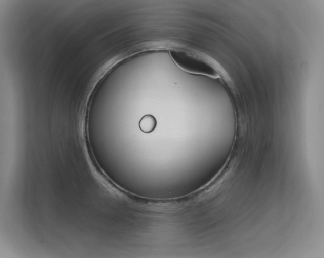 X0000113240946200909100920