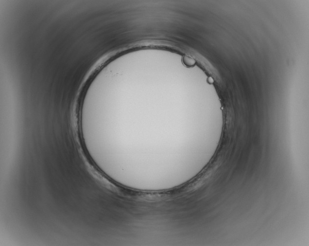 X0000113240950200909100920