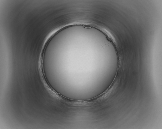 X0000113240952200909100920