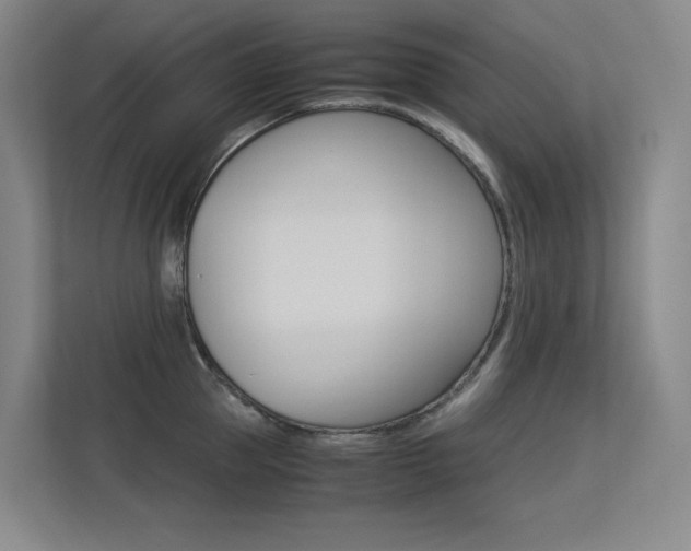 X0000113240953200909100920