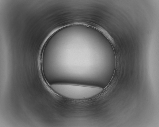 X0000113240955200909100920