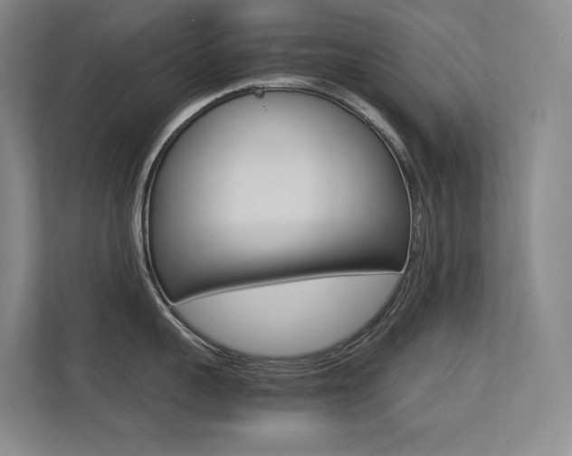 X0000113240959200909100920