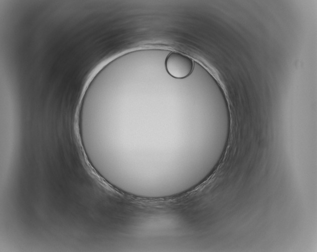 X0000113240960200909100920