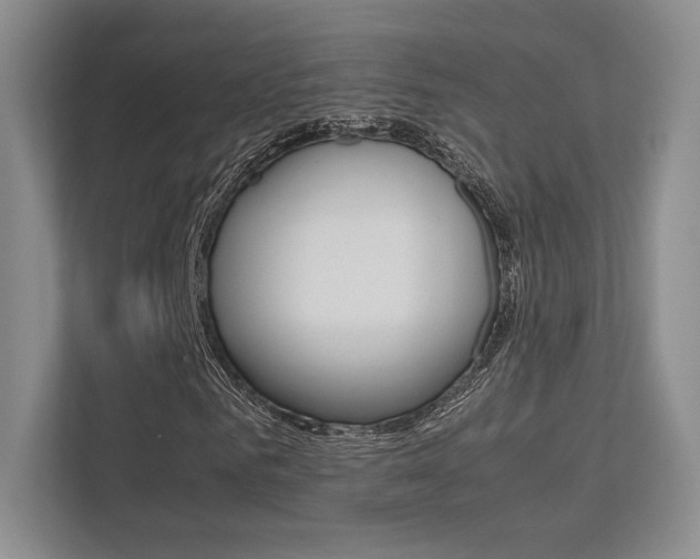 X0000113240961200909100919
