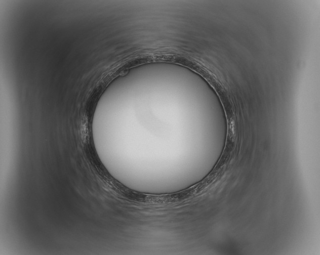 X0000113240963200909100919