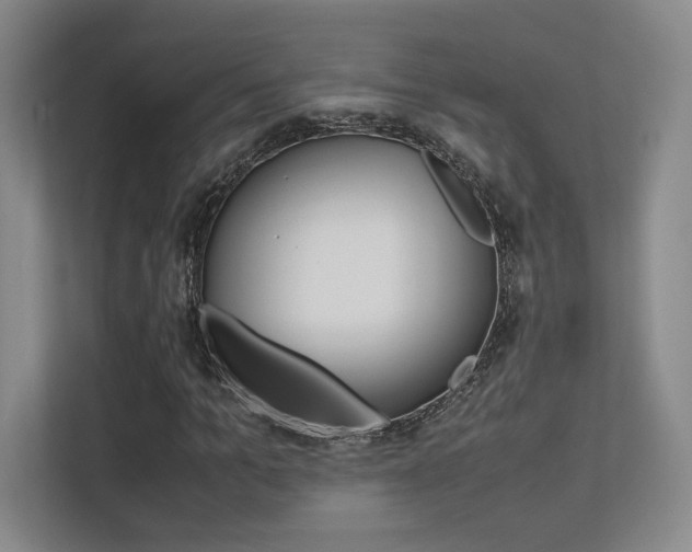 X0000113240965200909100919