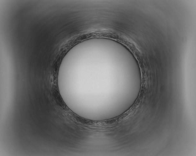 X0000113240966200909100919