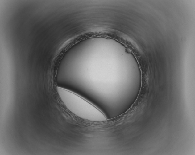 X0000113240968200909100919