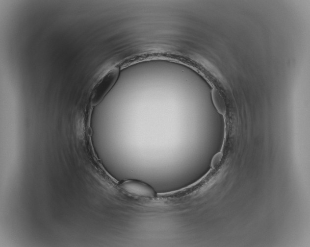 X0000113240969200909100919