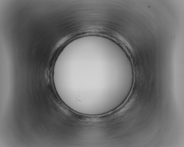 X0000113240970200909100919