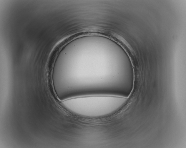 X0000113240971200909100919