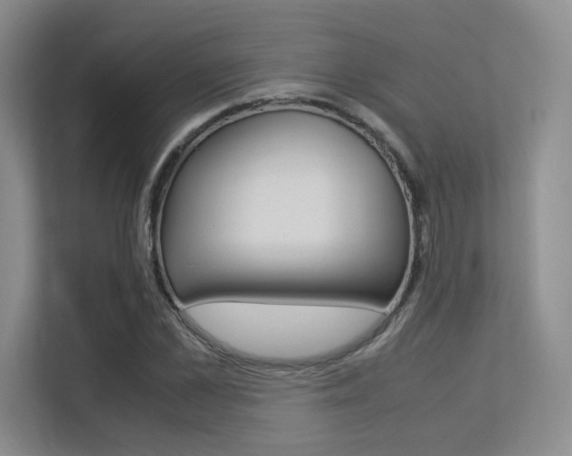 X0000113240973200909100919