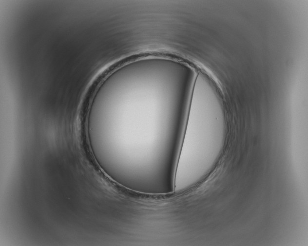 X0000113240975200909100919