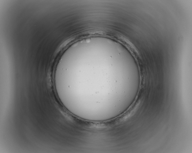 X0000113240978200909100919
