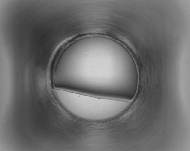 X0000113240979200909100919