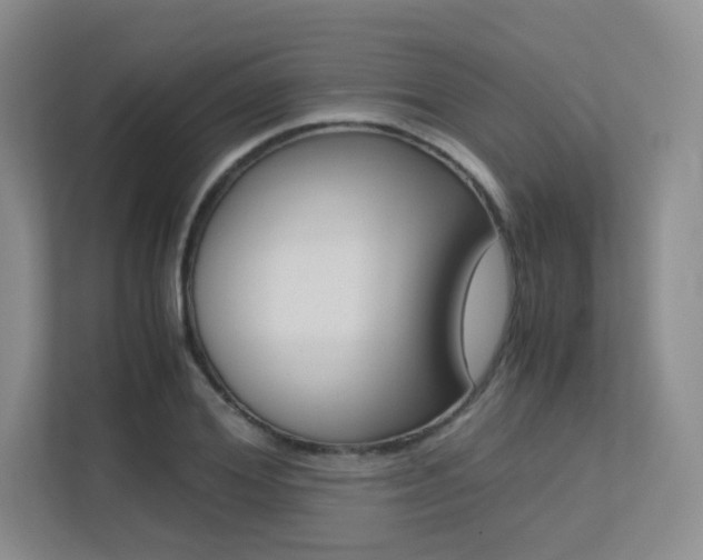 X0000113240980200909100919
