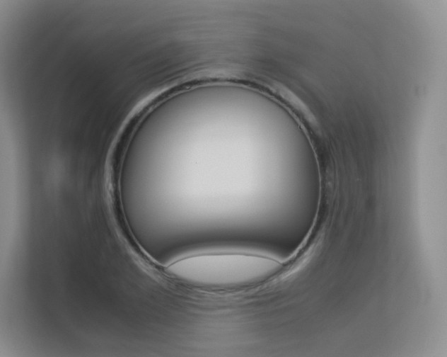 X0000113240981200909100919